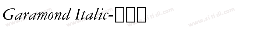 Garamond Italic字体转换
